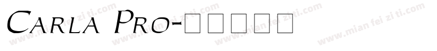 Carla Pro字体转换